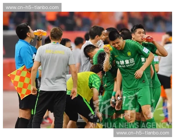 巅峰对决，荣耀之巅：山东鲁能与北京国安足协杯恩怨情仇录